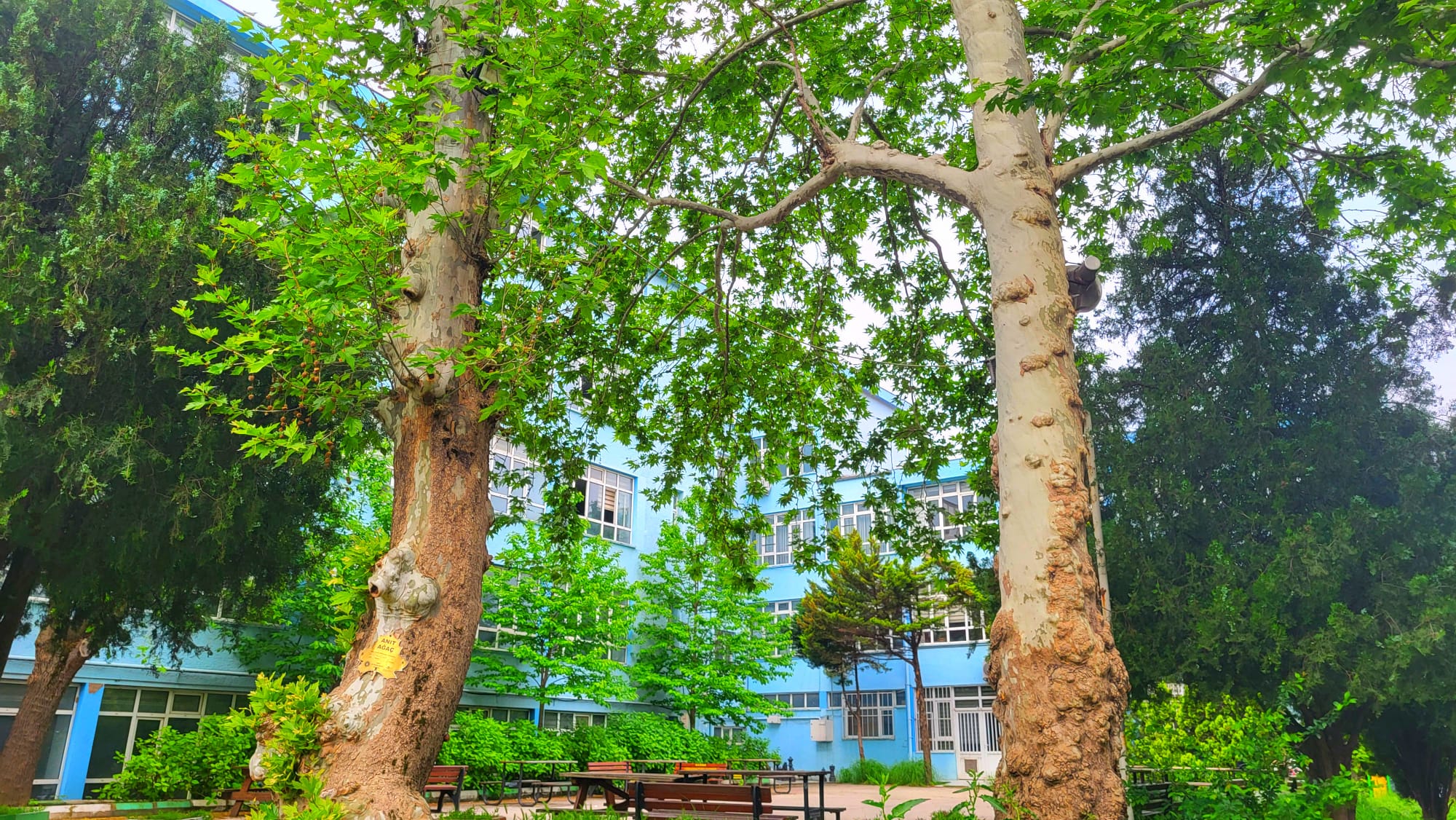 Bursa Anadolu Lisesi Bahçesi